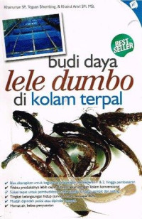 Image of Budi Daya Ikan Dumbo Di Kolam Terpal