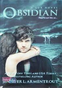 Image of Obsidian